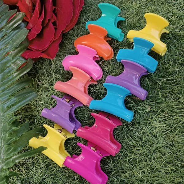 12-Piece Multicolor Plastic Hair Clip Set