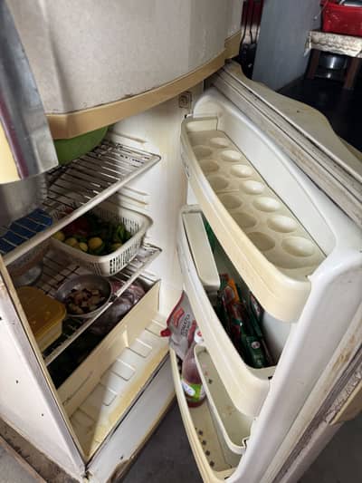 PEL Refrigerators