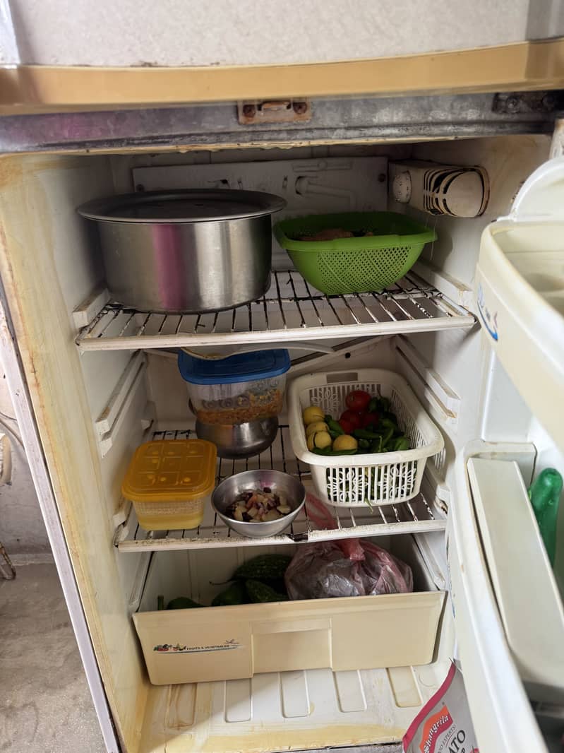 PEL Refrigerators 1