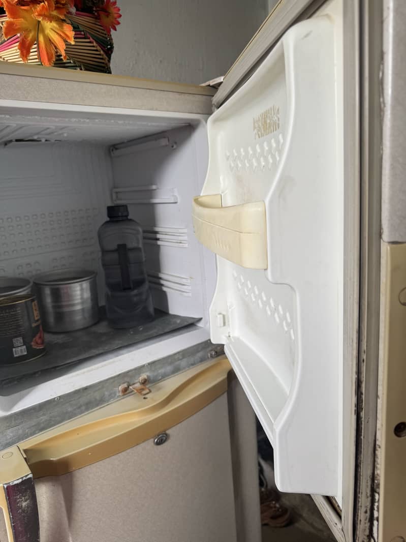 PEL Refrigerators 4