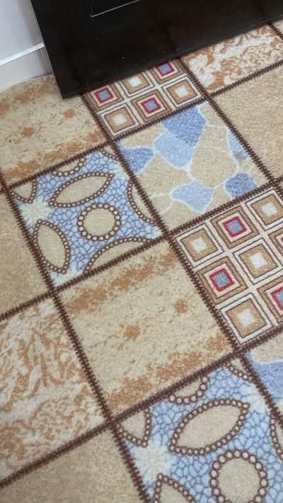 3 month used carpet for sell