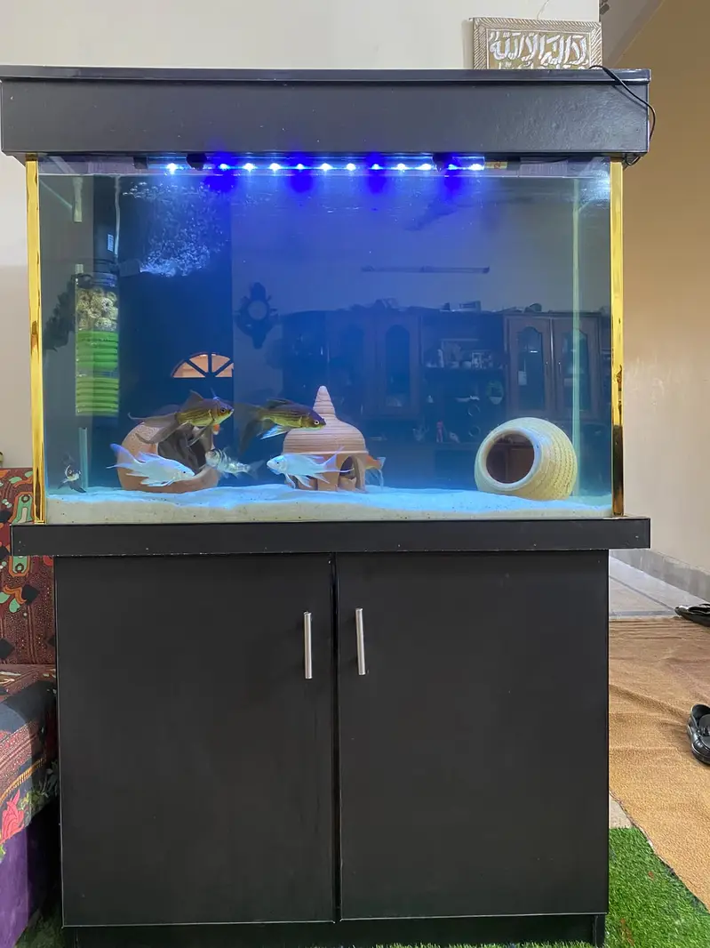 Fish Aqurium Neat And Clean — photo 2