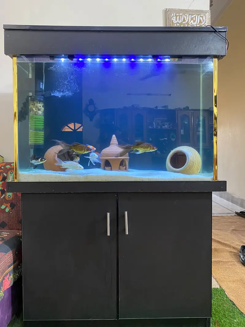 Fish Aqurium Neat And Clean — photo 3