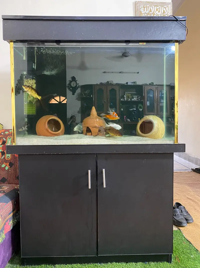 Fish Aqurium Neat And Clean — photo 4