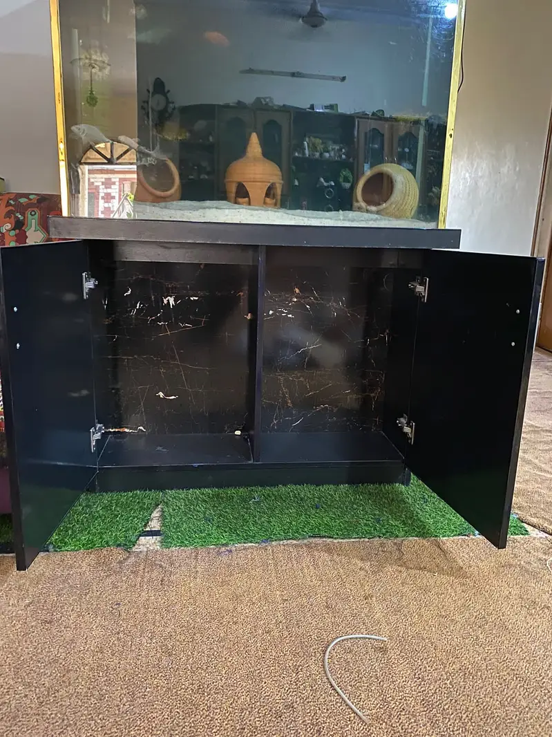 Fish Aqurium Neat And Clean — photo 8