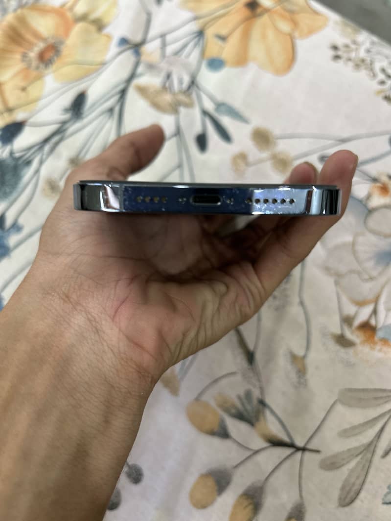 iPhone 13 Pro Max 1