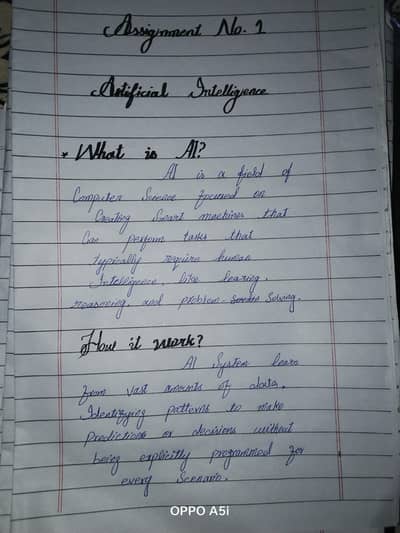 assignment writing services University & college