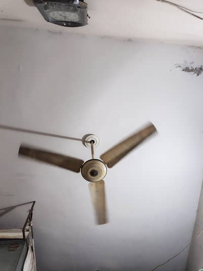 fan for sale