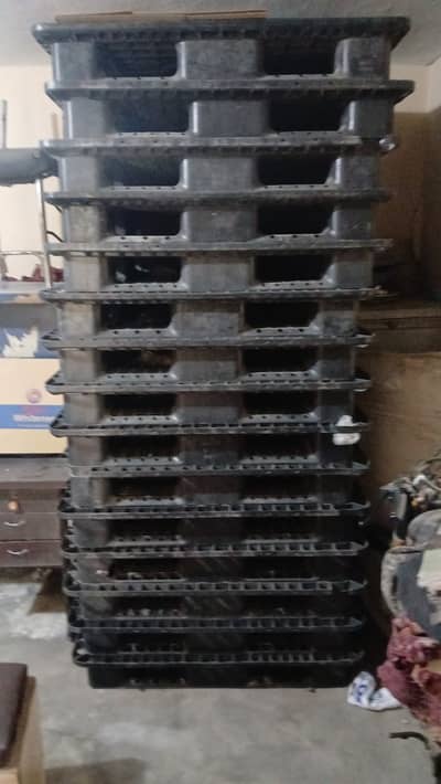 Plastic Pallets