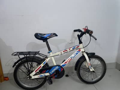 Imported 16 size cycle