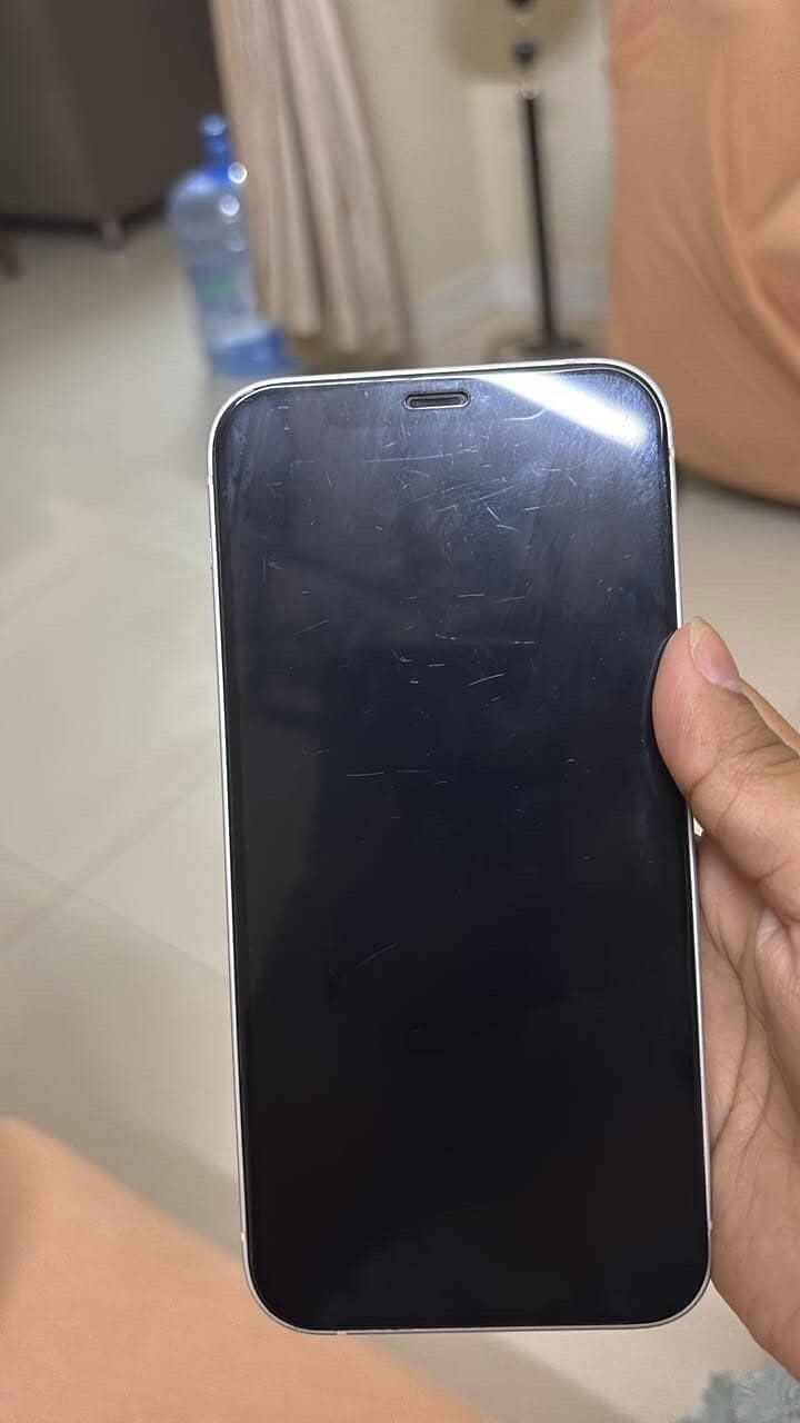 Apple iPhone 12 1