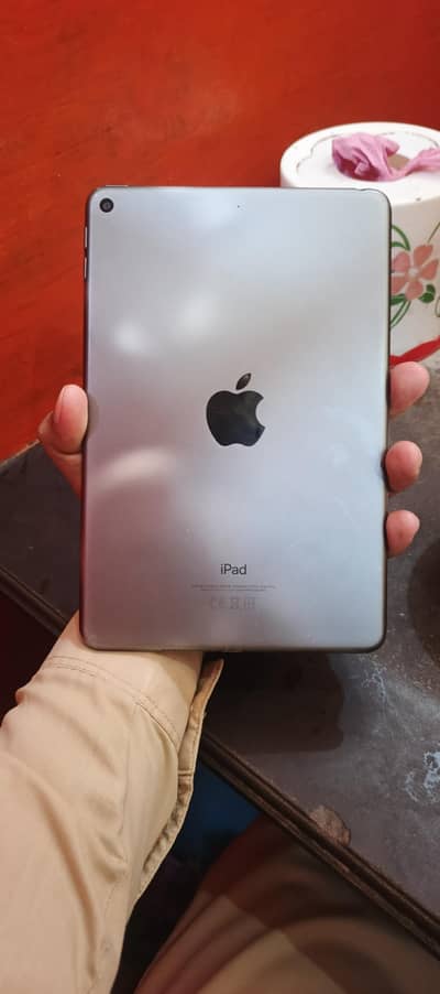ipad mini 5