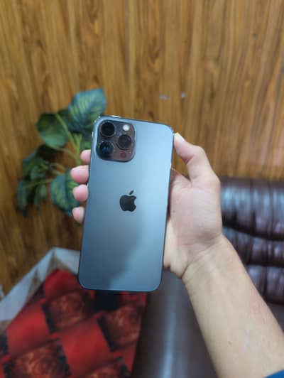 iPhone 13 Pro Max