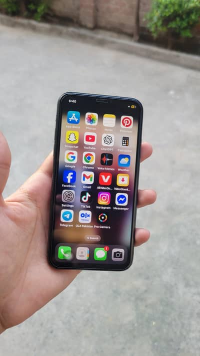 Apple iPhone X