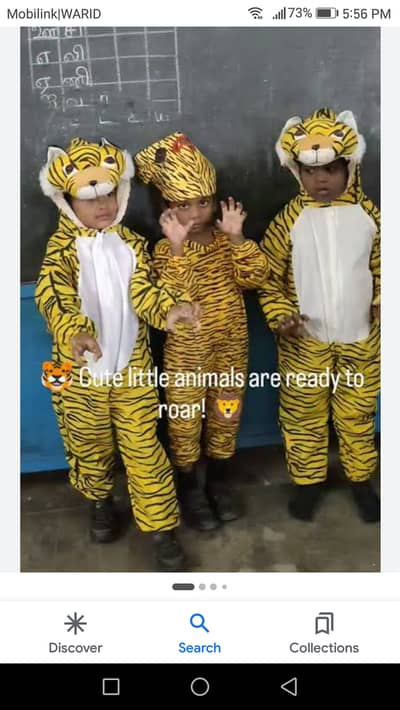 Zoo costume for sale