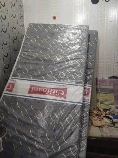 ciityfoam single bed