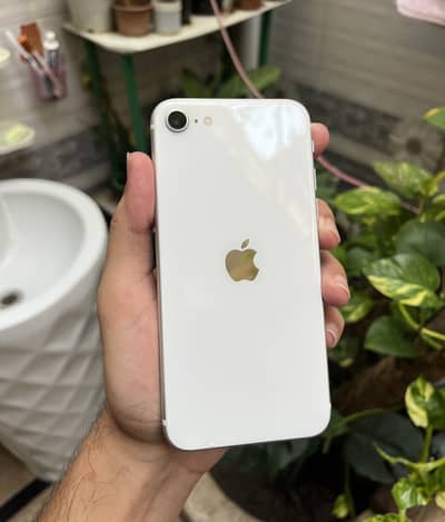 Apple iPhone SE Dual Sim Pta Approved