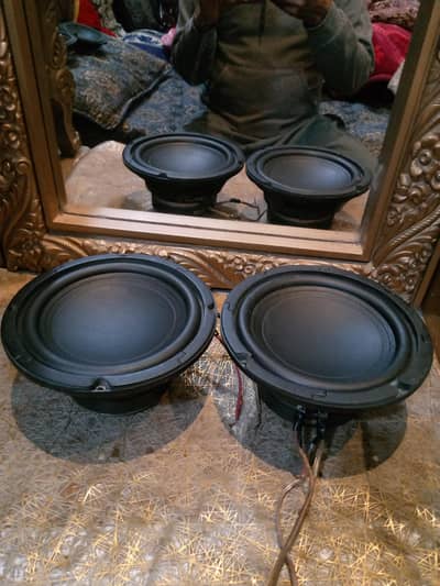 Subwoofers/Speakers