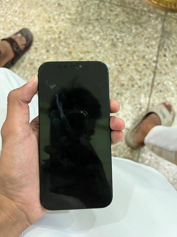 Apple iPhone 12 2