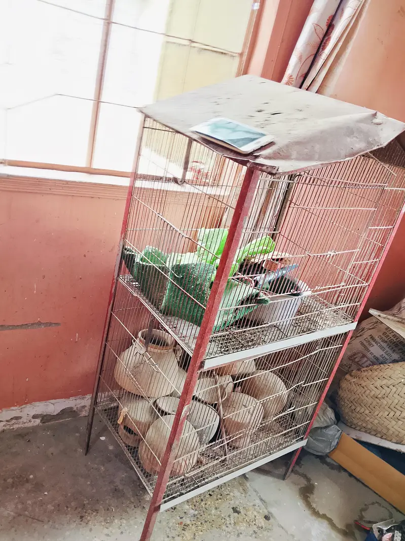 cages for sell — photo 2