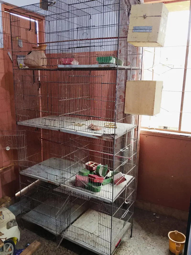 cages for sell — photo 4