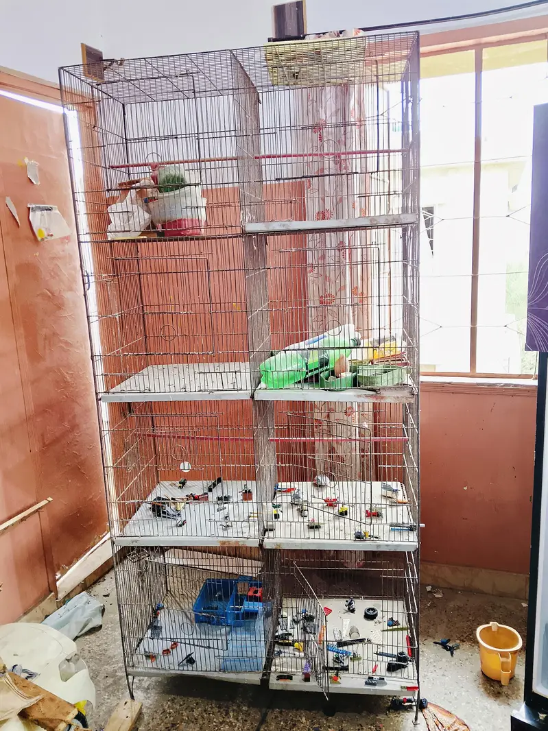 cages for sell — photo 5