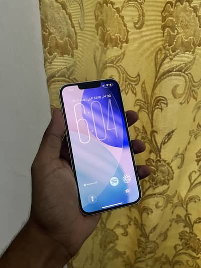 Iphone 13 pta approved