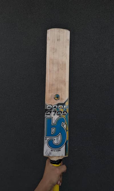 CA 1000 Hardball Cricket Bat