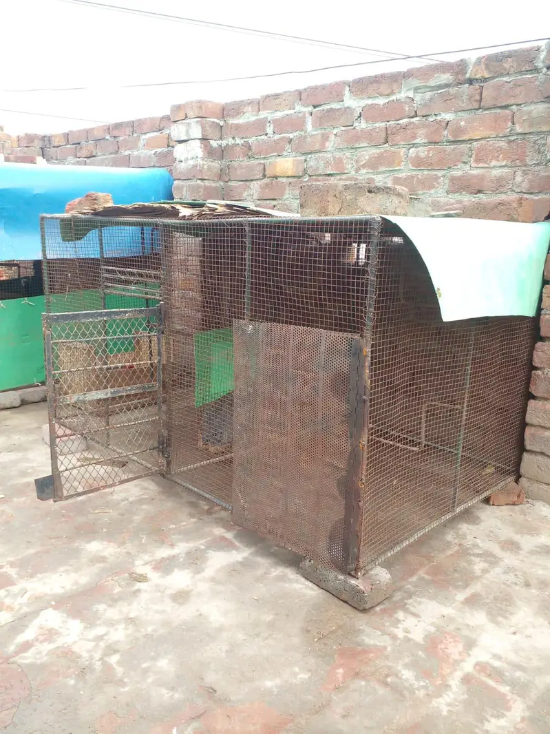 big heavy iron wire cage — photo 2