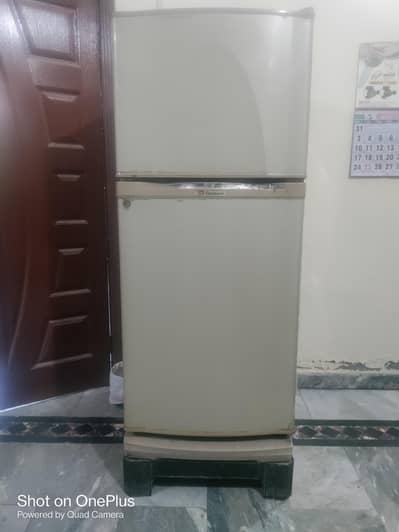 outclass refrigerator