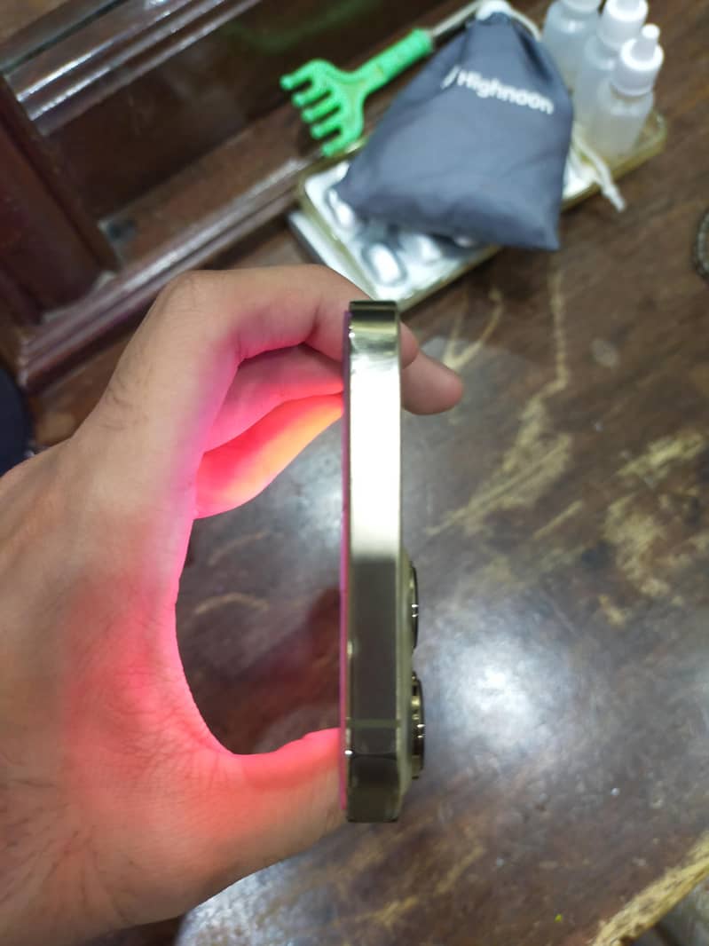 Apple iPhone 13 Pro Max 2