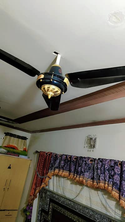 3 fans