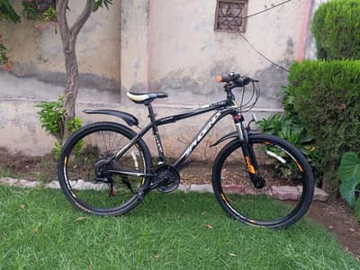 Bicycle Phoenix Imported  Bicycle 26  inches For Sale