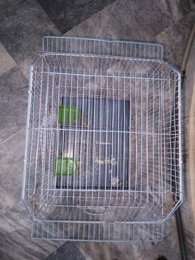 2 month used cage