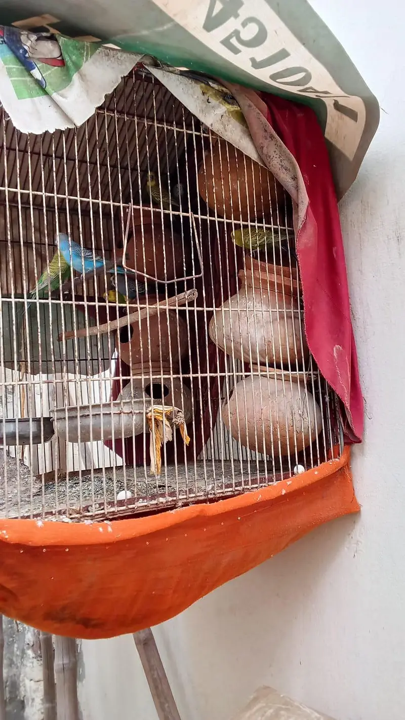 khali pinjara for sale 2by3 fut — photo 3