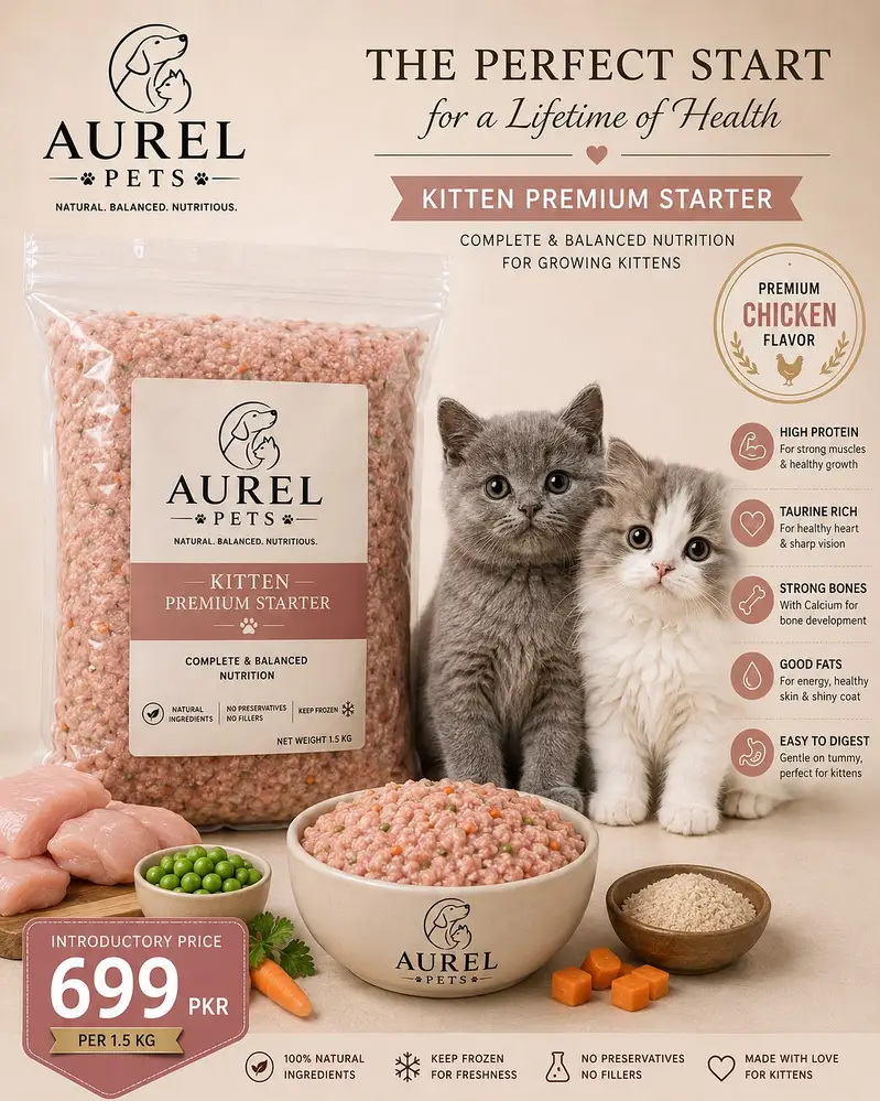 Cat food dog food — photo 5