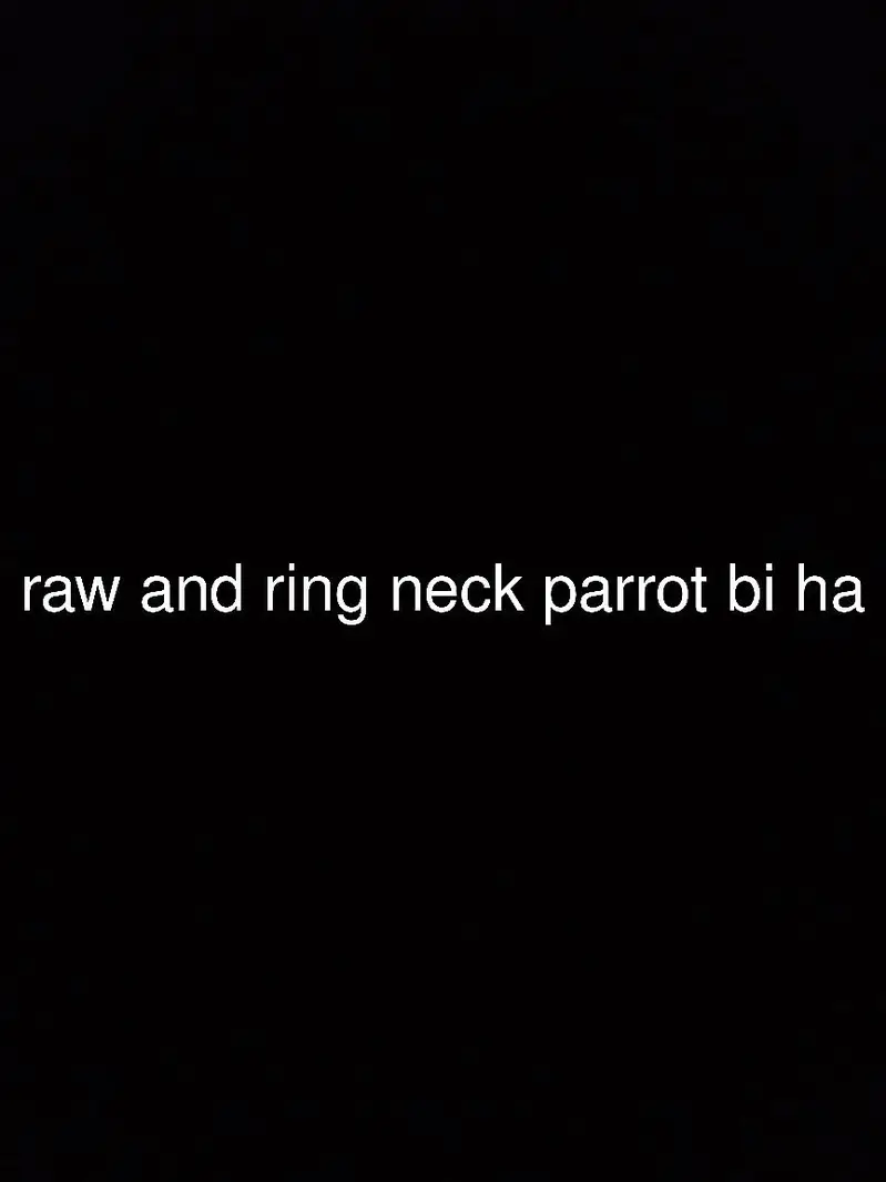 different hand tame and wild parrot available ha — photo 8