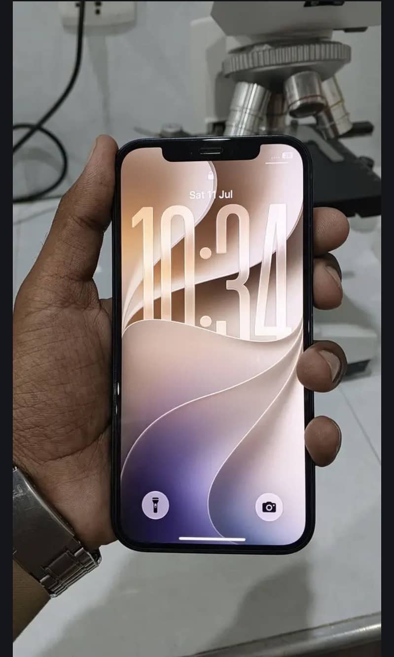 Apple iPhone 12 1