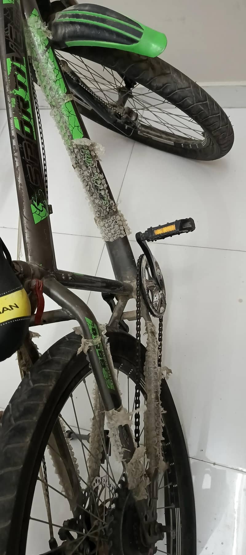 cycle 2