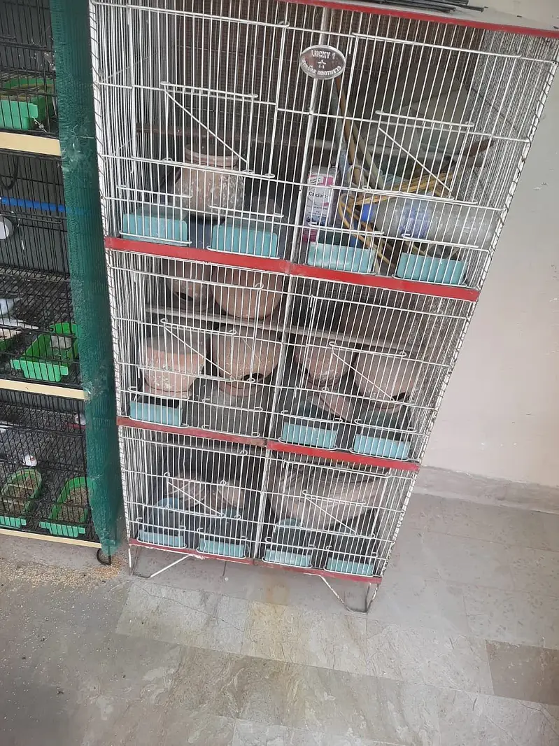New birds  cage sale 03152326915 WhatsApp only — photo 2