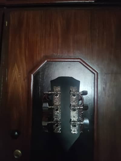 Acoustic guitar