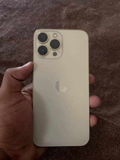 Apple iPhone 13 Pro Max