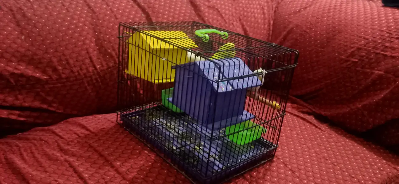 Bird Cage for Sale | Budgies & Love Birds Cage | Good Condition — photo 3