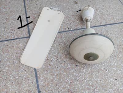 Ceiling fans