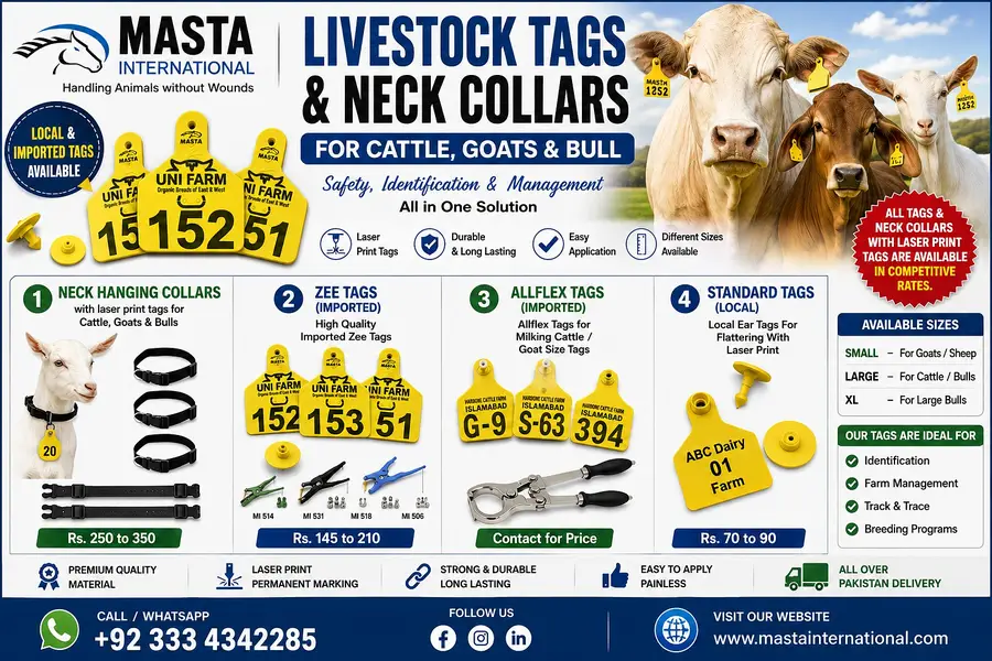 Cow Tag / Cattle Tag / Goat Tag / Ear Tag / Neck Tag / Tag for sale — photo 2