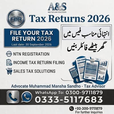 Income tax consultant
