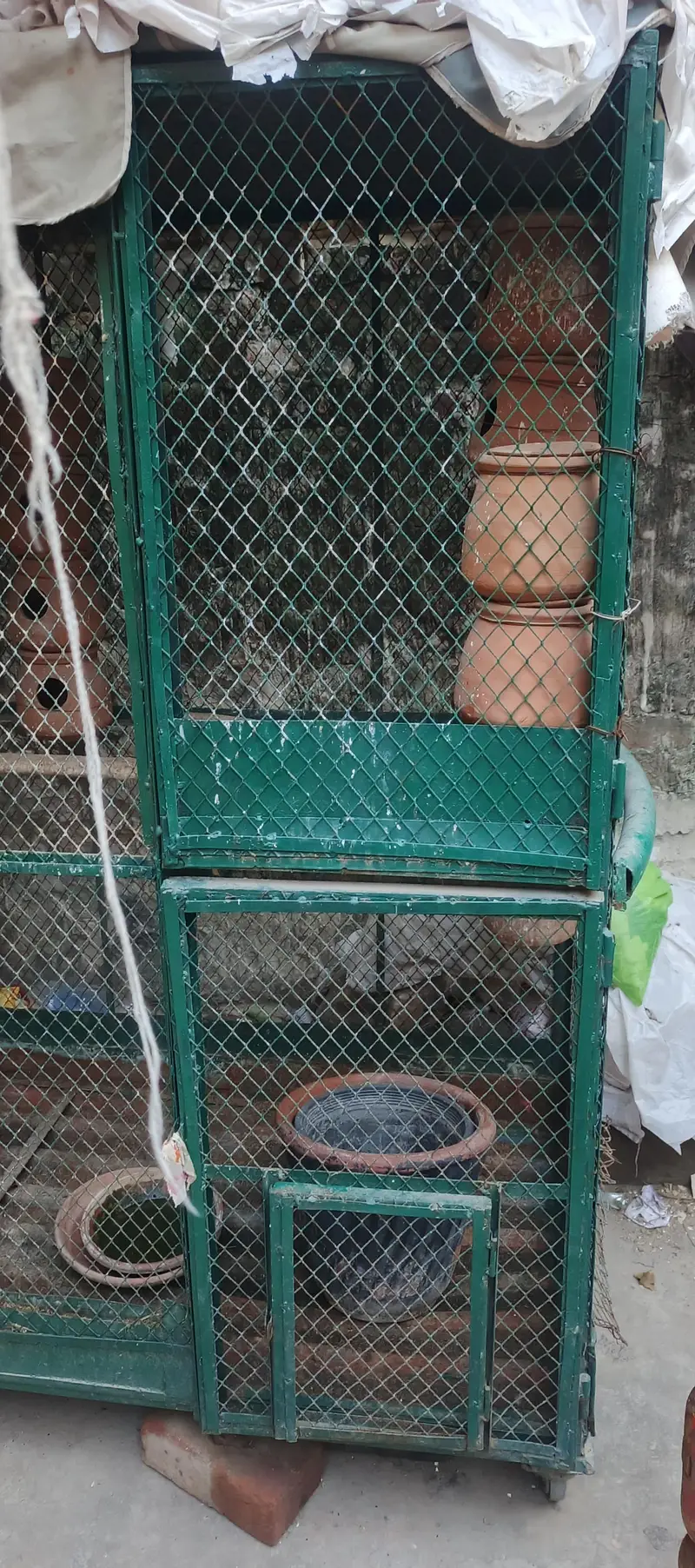 Parrot Cage Brand new — photo 3