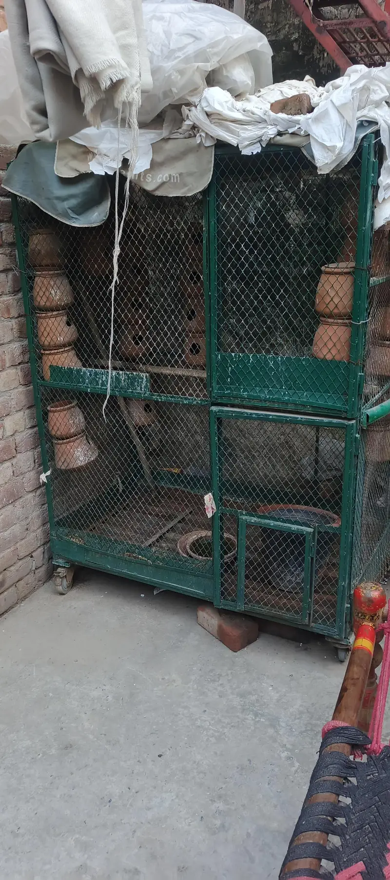 Parrot Cage Brand new — photo 4