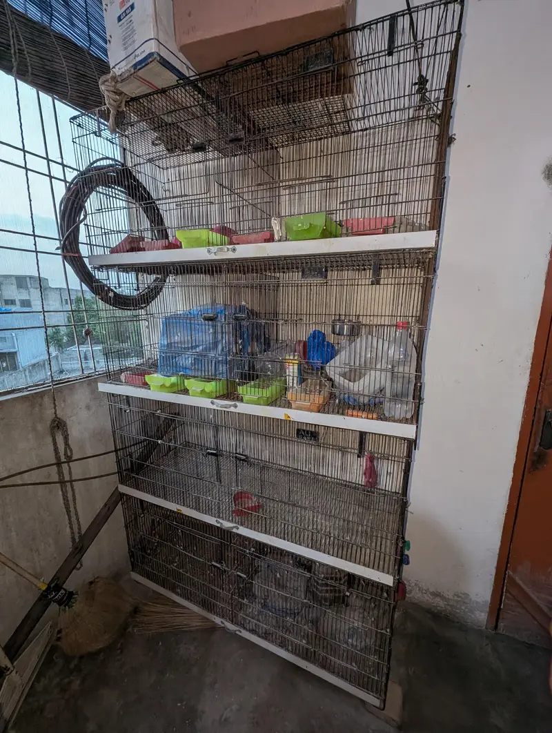 4- Compartment premium Bird/Pet cage- Good condition