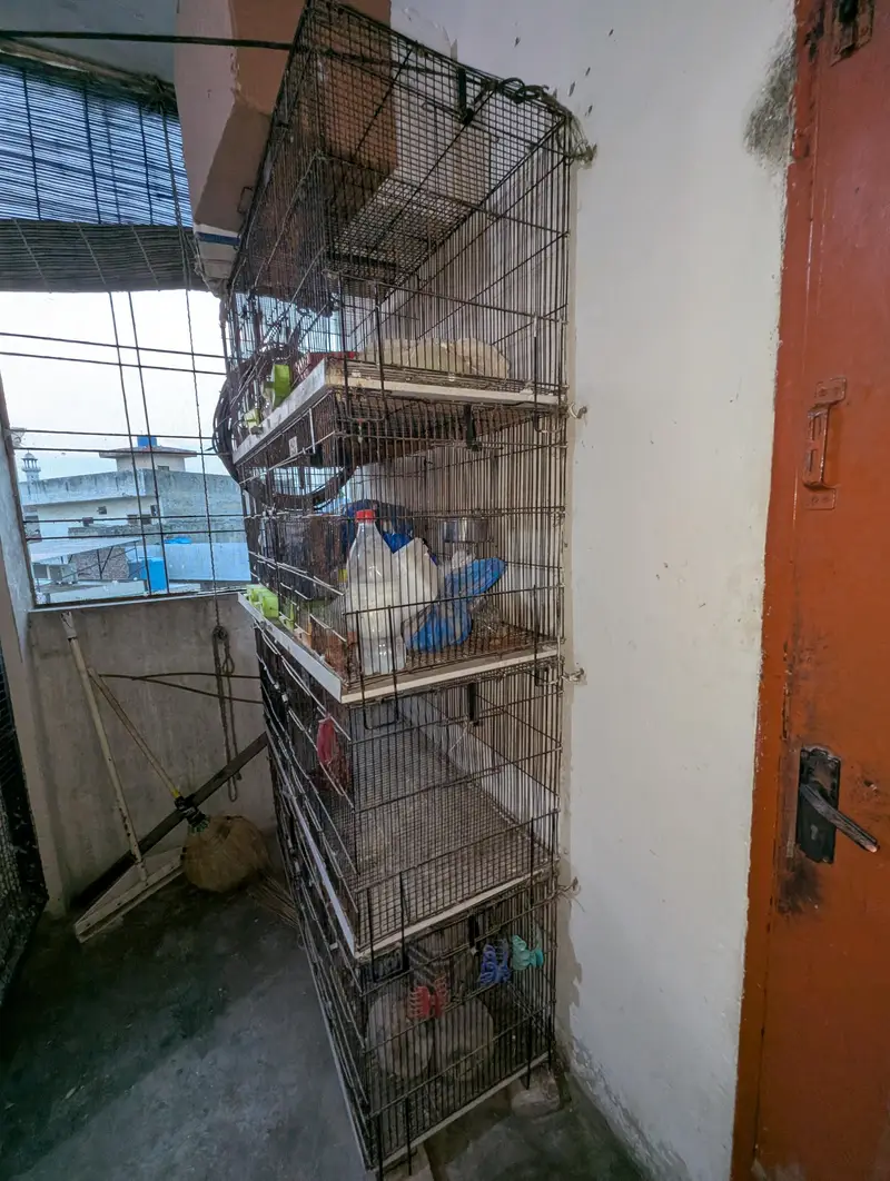 4- Compartment premium Bird/Pet cage- Good condition — photo 2